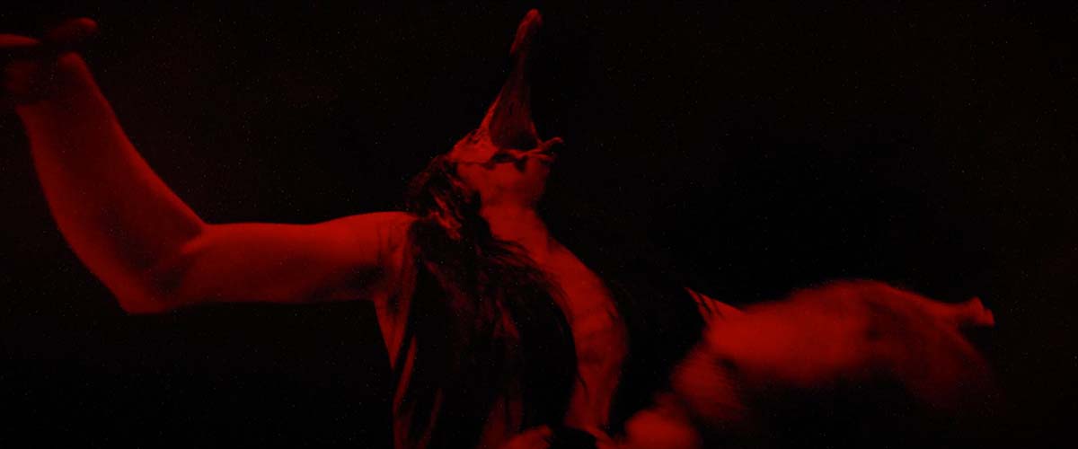 La Machi Güenteray 01