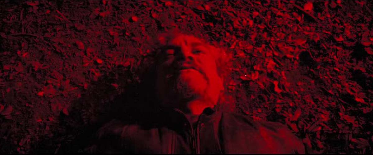 La Machi Güenteray 12